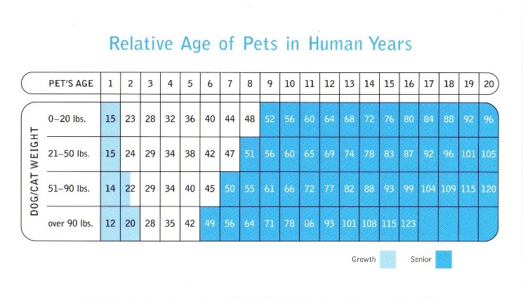 English Bulldog Price Chart